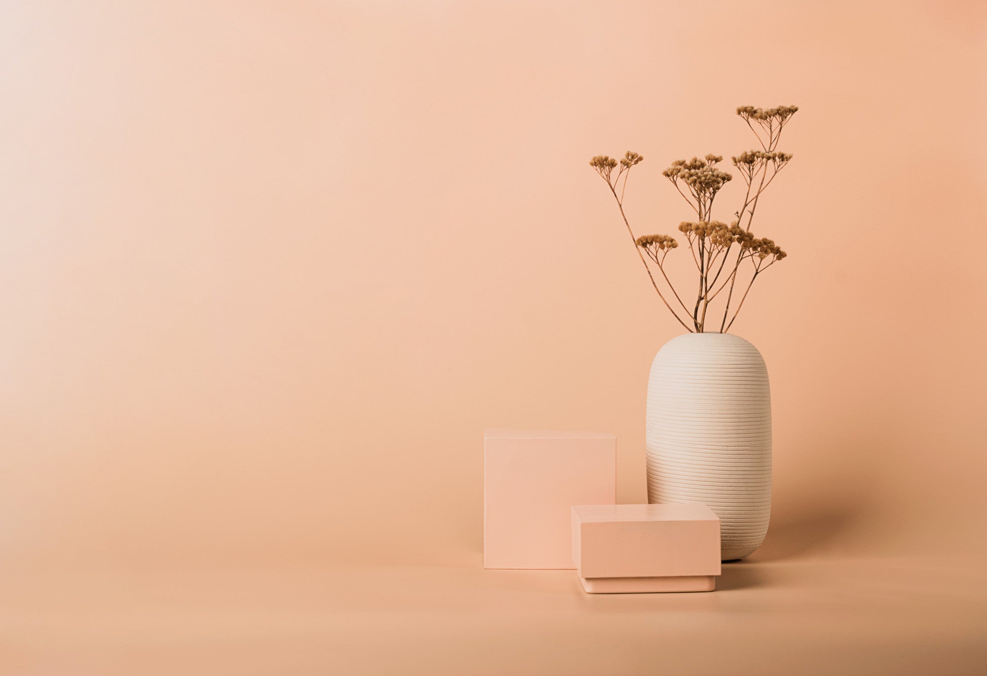 White vase with dried flowers on a beige background