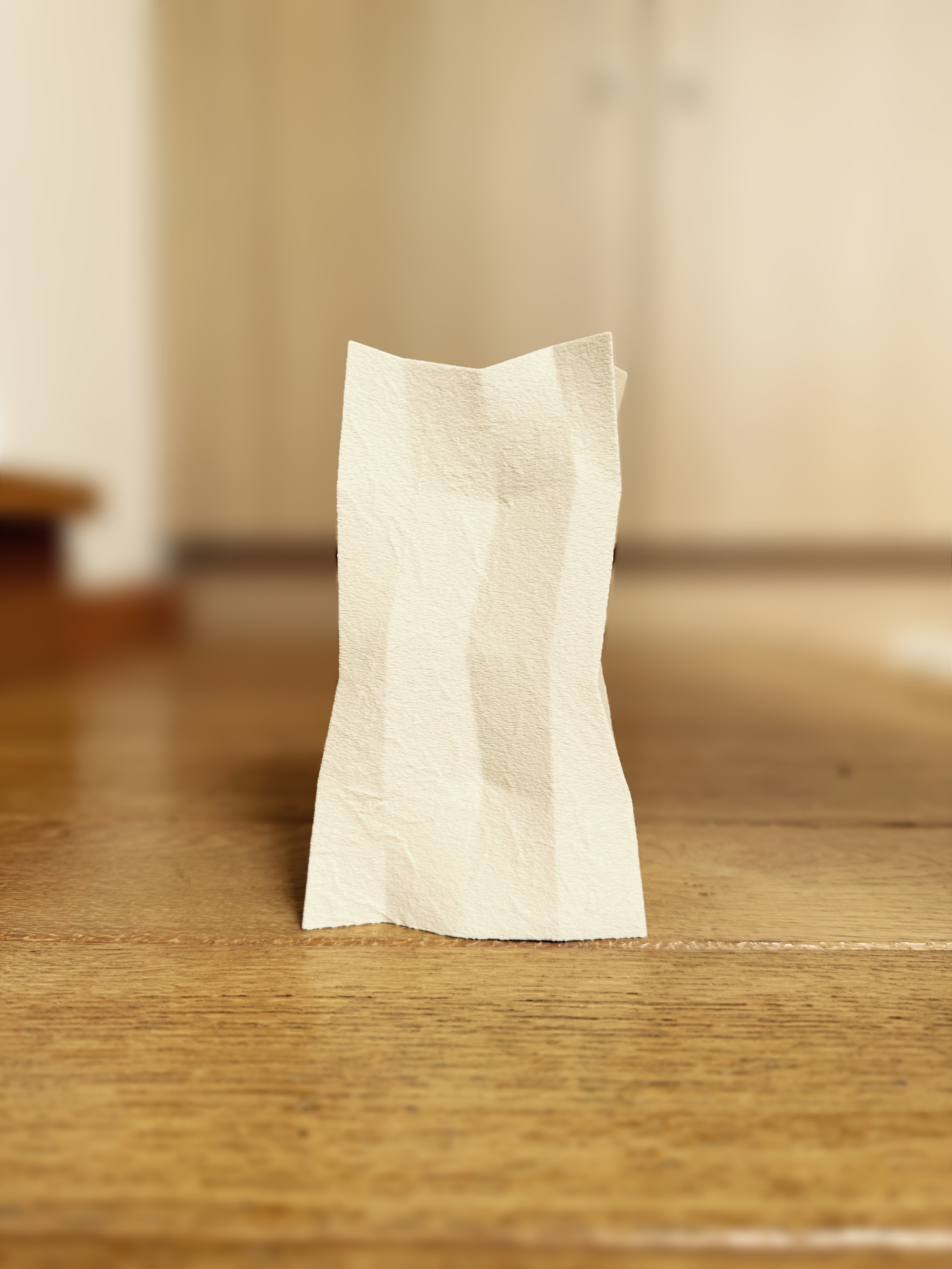 Dried Flower Vase Duo "Radica"