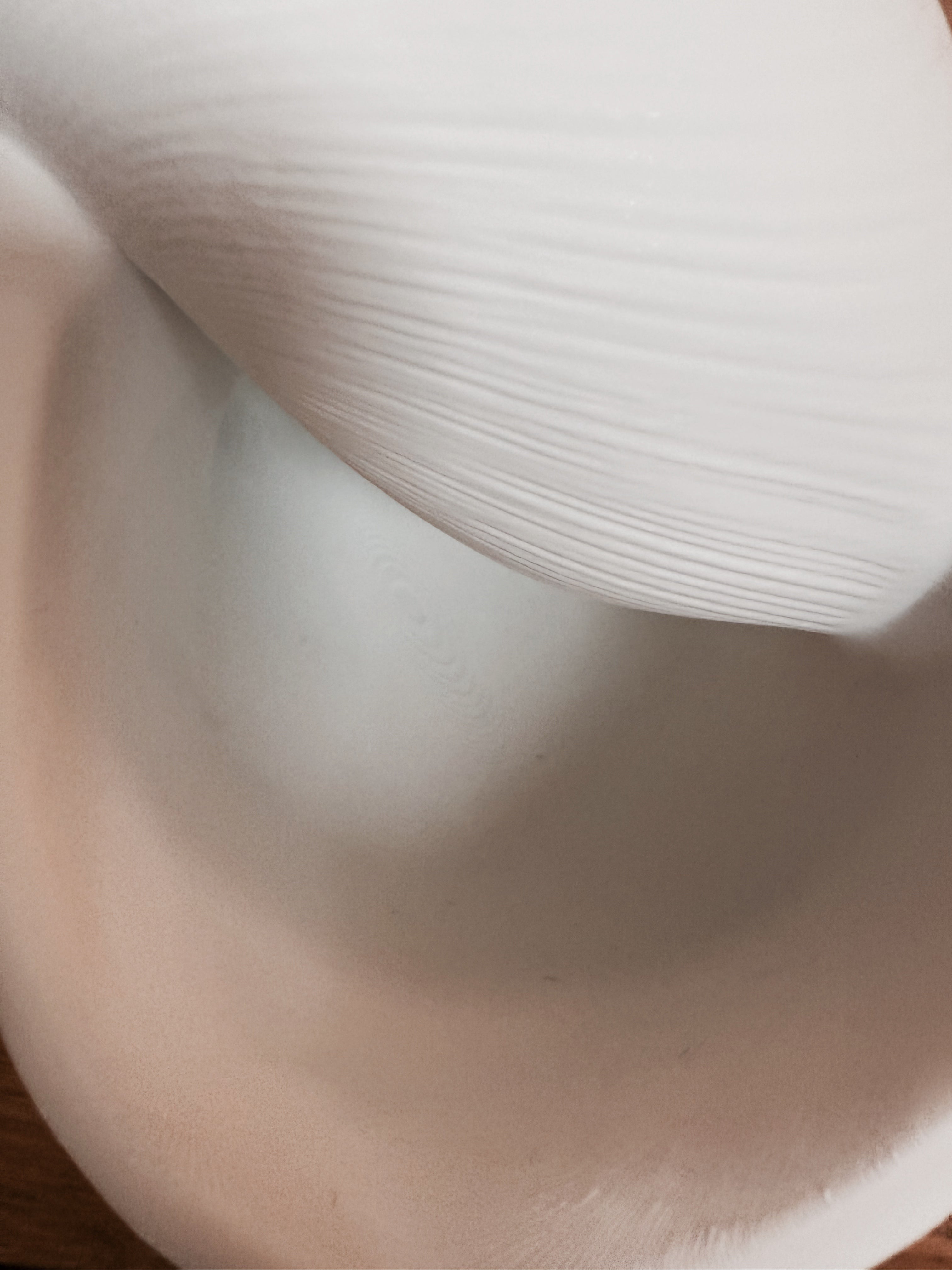 Indoor Vase / Planter "Natica"