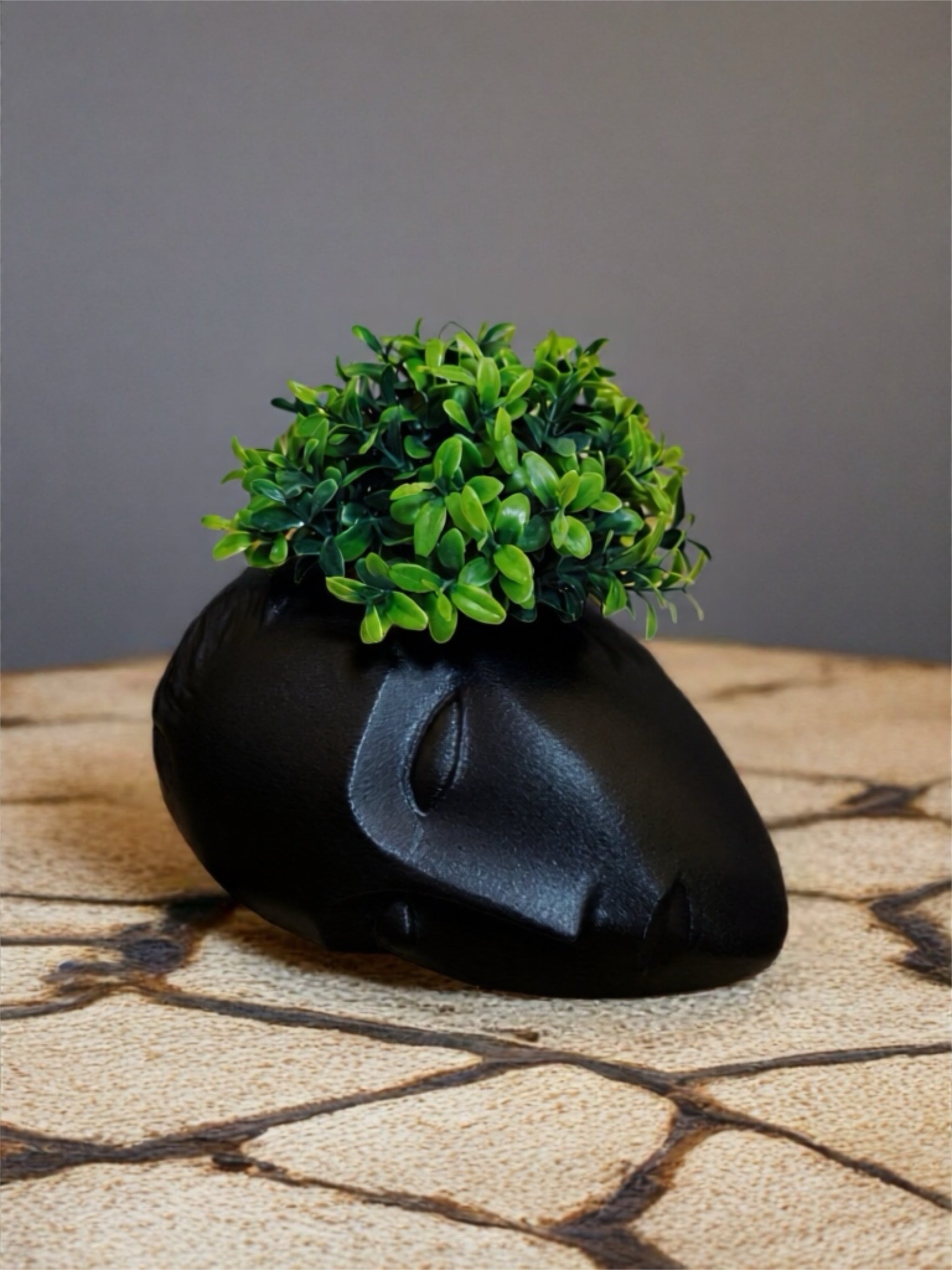 Indoor Vase / Planter "Sleeping Muse" Black