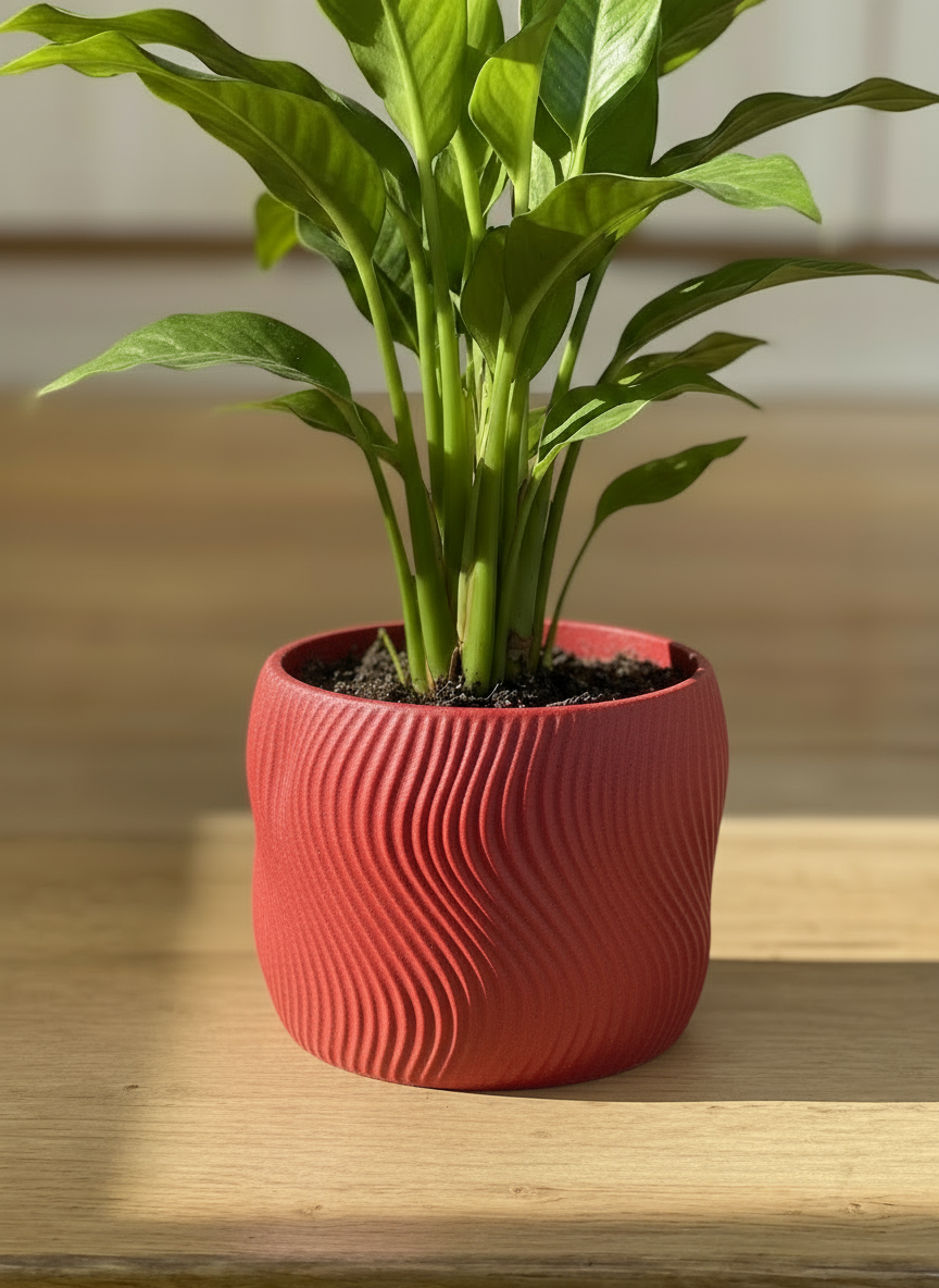 Planter "Dolce" Maroon Red