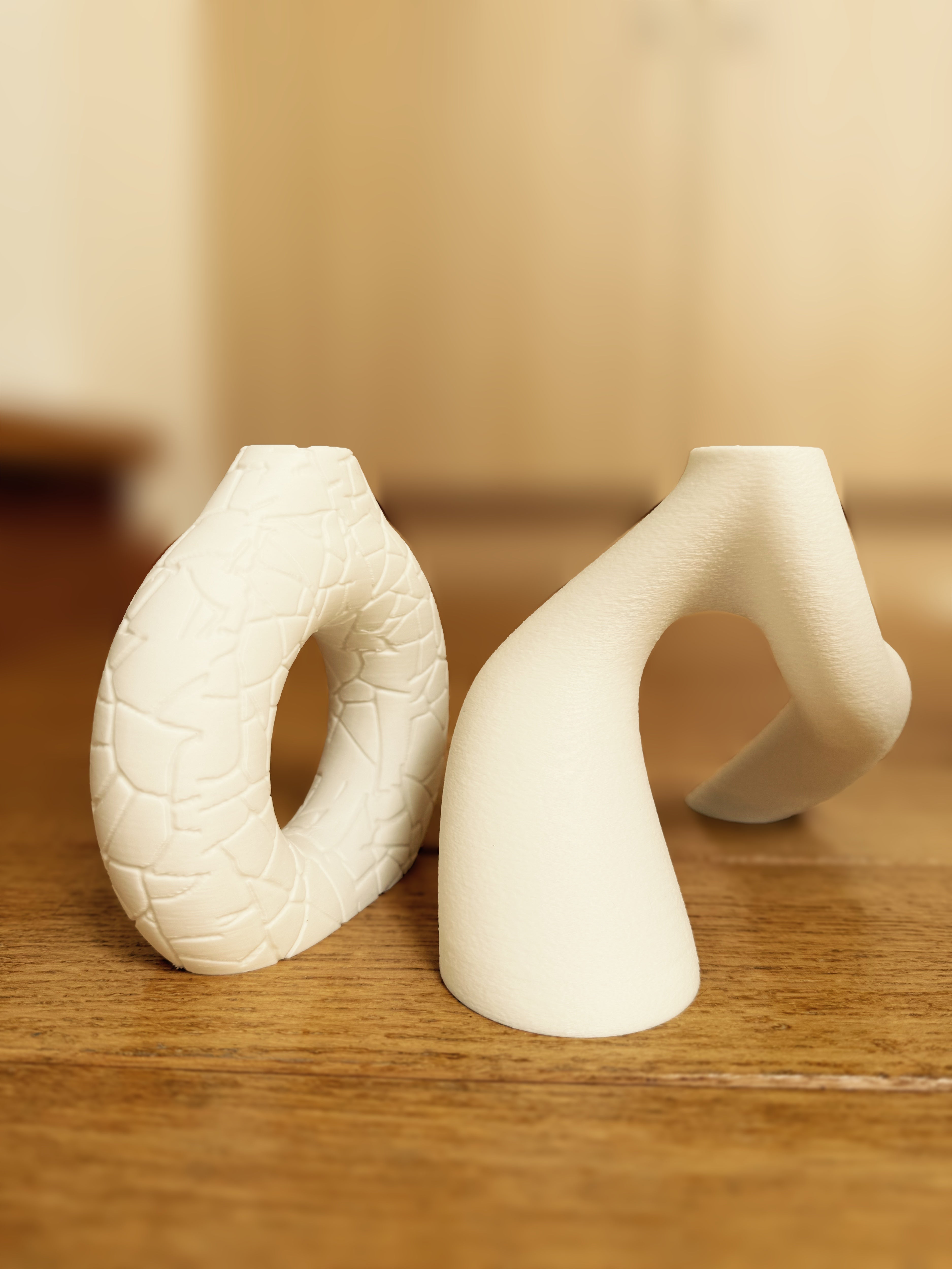 Duo: Cracked Toroid & Innesto – Sculptural Vases Set