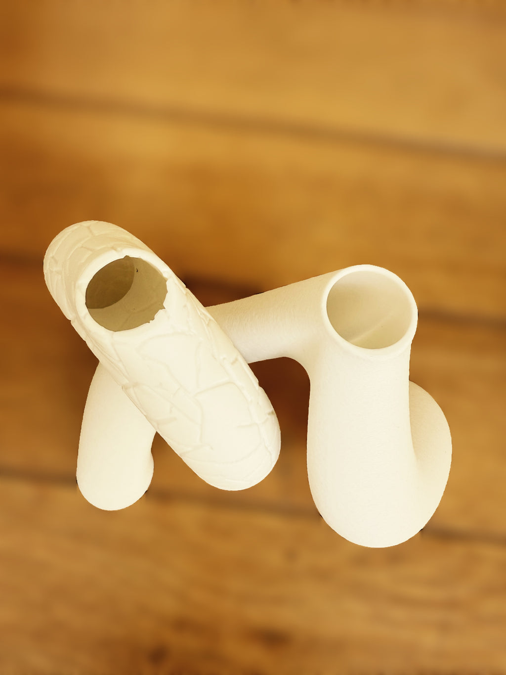 Duo: Cracked Toroid & Innesto – Sculptural Vases Set