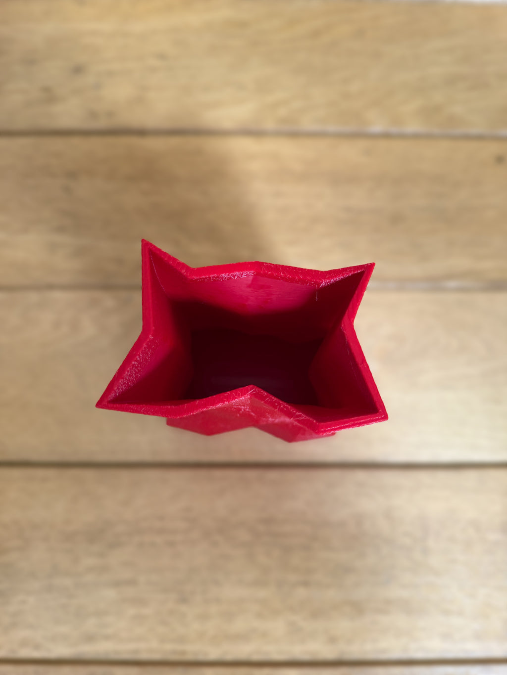 Dried Flower Vase Duo "Radica"