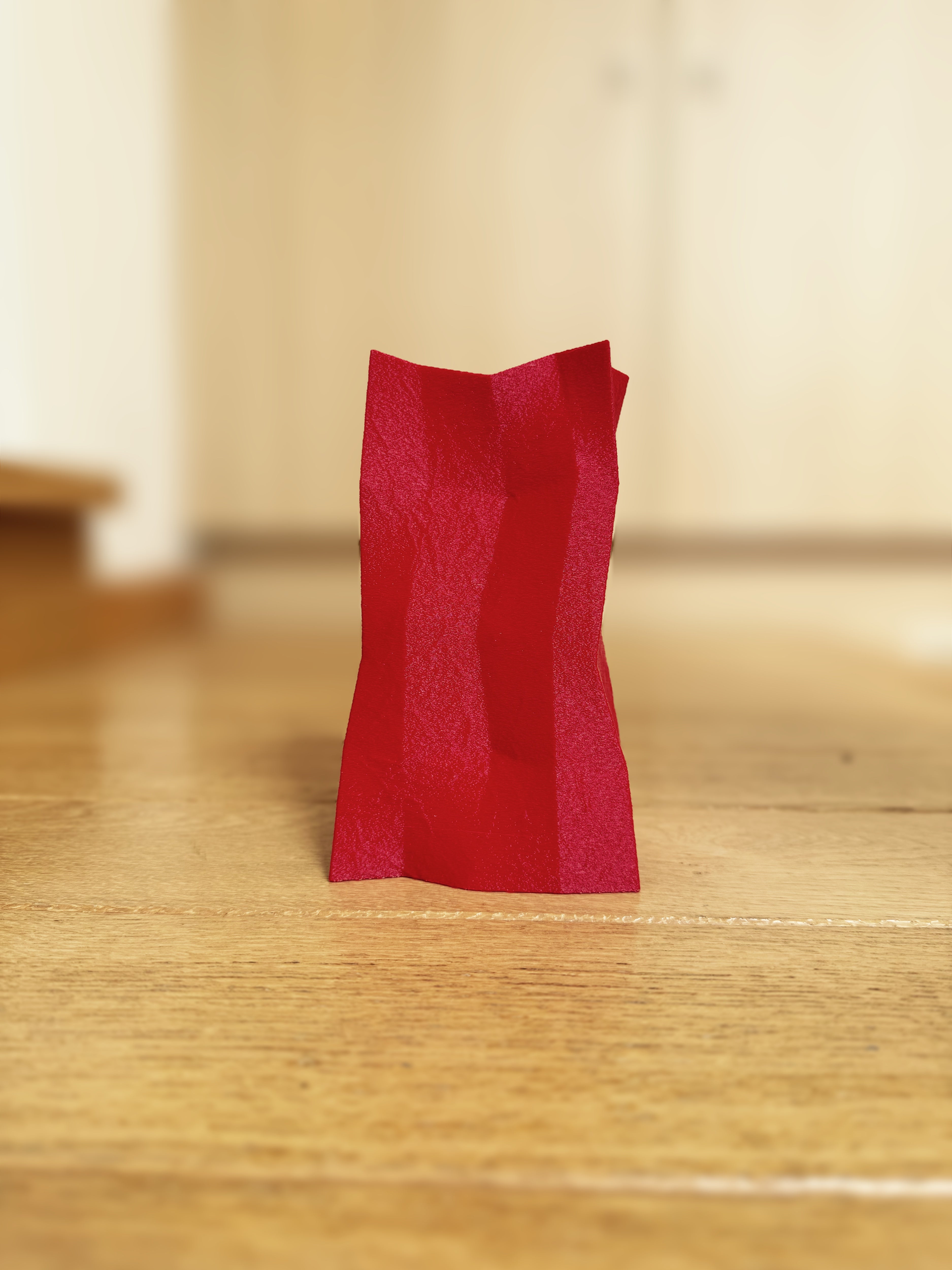 Dried Flower Vase Duo "Radica"