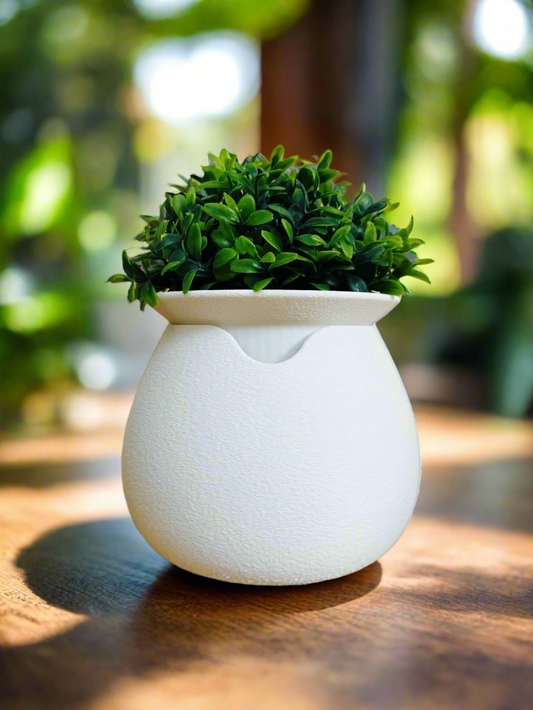 Self-Watering Planter "Aquaflora"