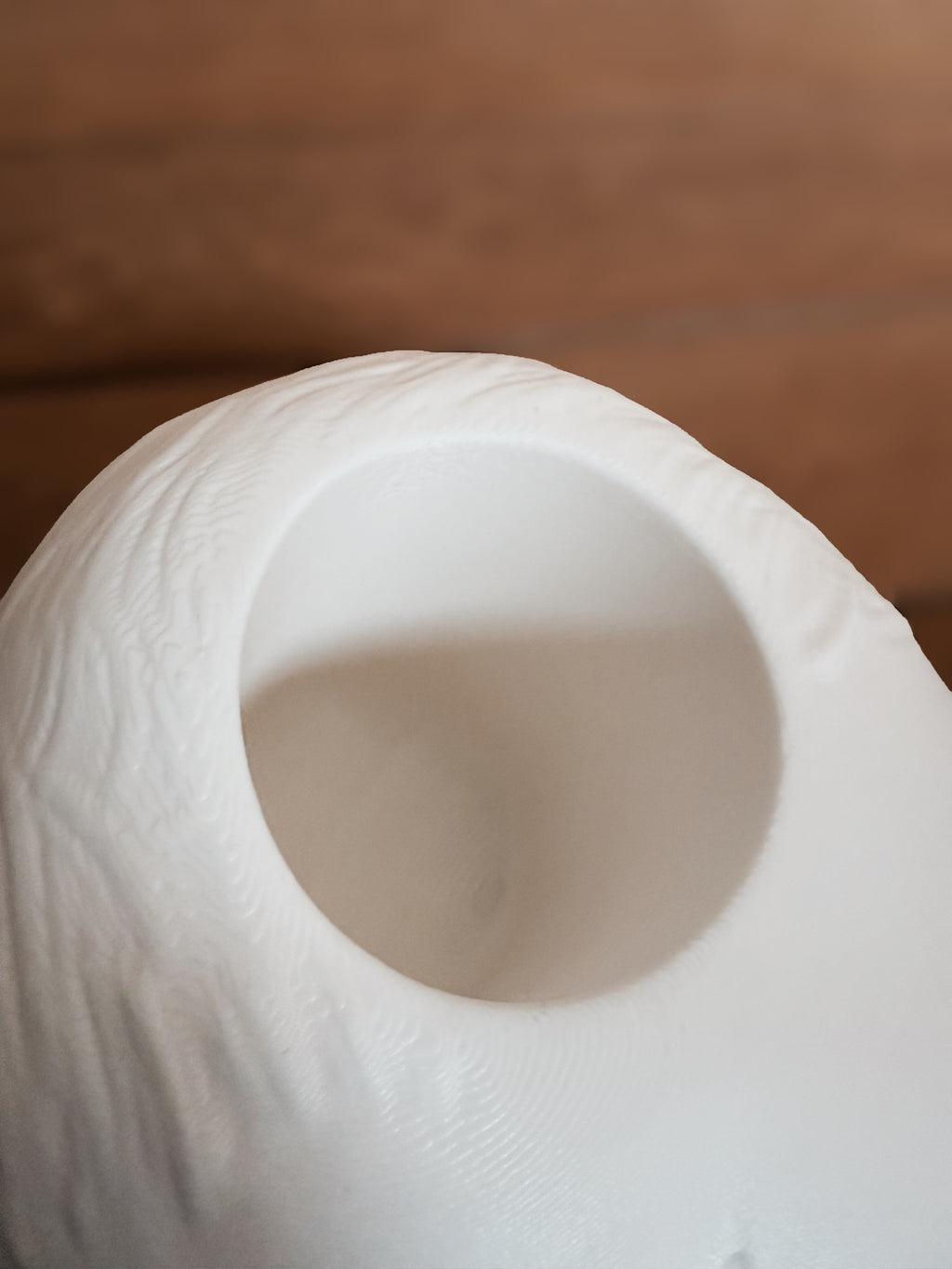 Indoor Vase / Planter "Sleeping Muse"