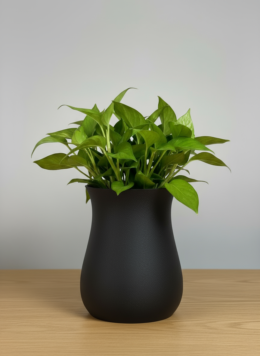 Indoor Vase "Aero" Black