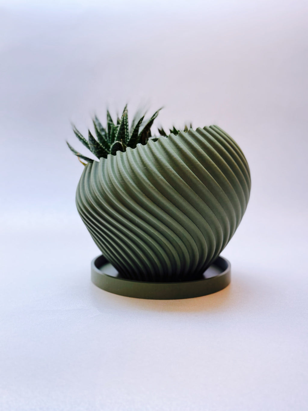 Modern Indoor Planter with Little Platter "Swirl"